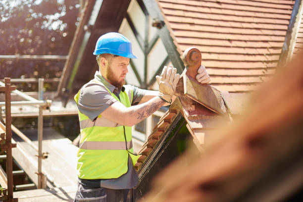 Best Metal Roofing Contractor  in Pomeroy, OH